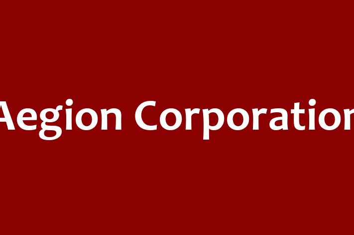 Software Firm Aegion Corporation