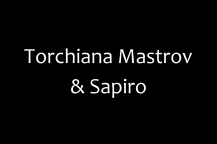 Software Consultancy Torchiana Mastrov Sapiro