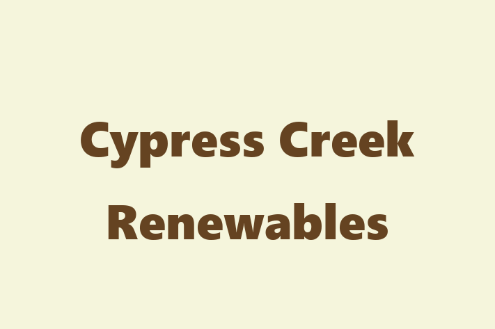 Employee Relations Cypress Creek Renewables