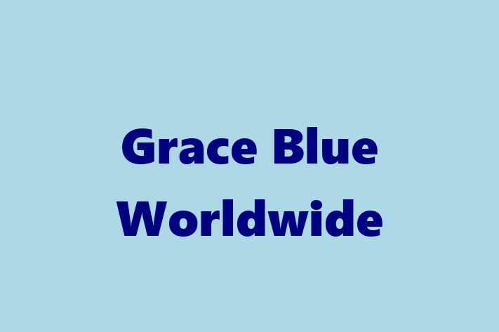 Technology Solutions Firm Grace Blue Worldwide