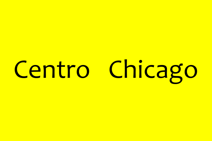 Application Development Company Centro   Chicago