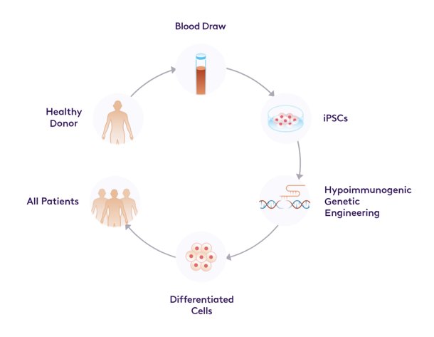 Personnel Management Vita Therapeutics