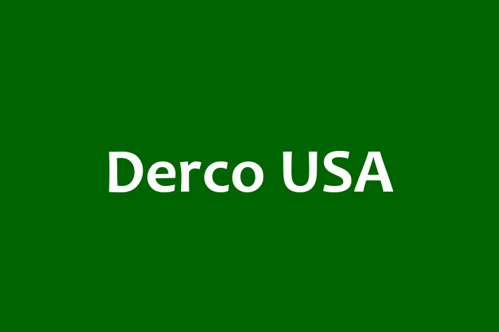 IT Company Derco USA