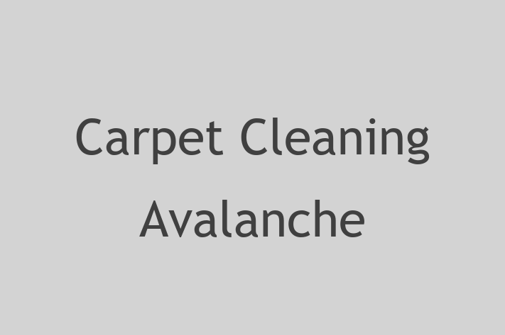 Home Sanitation Carpet Cleaning Avalanche