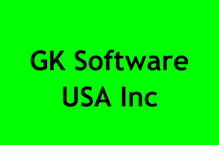 Technology Solutions Firm GK Software USA Inc