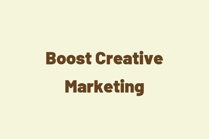 Software Development Firm Boost Creative Marketing