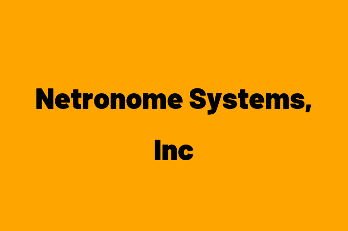 Software Engineering Company Netronome Systems Inc