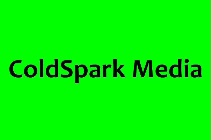 Software Engineering Company ColdSpark Media