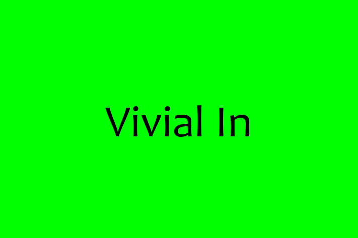 Software Consultancy Vivial In