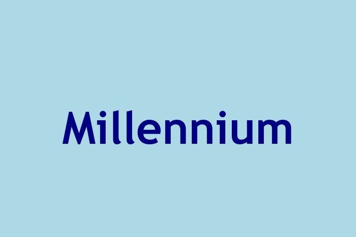 Human Capital Management Millennium