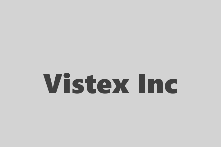 IT Company Vistex Inc