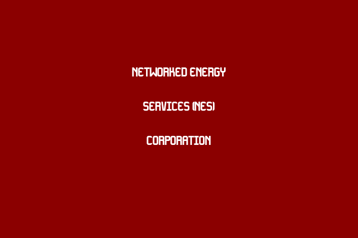 Tech Firm Networked Energy Services NES Corporation