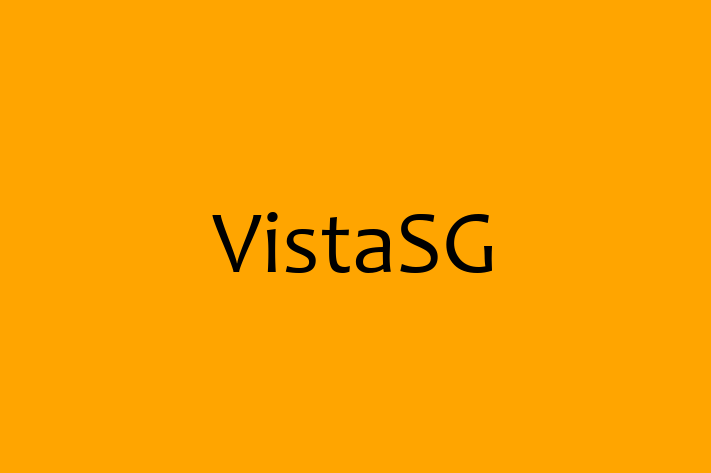 Software Engineering Company VistaSG