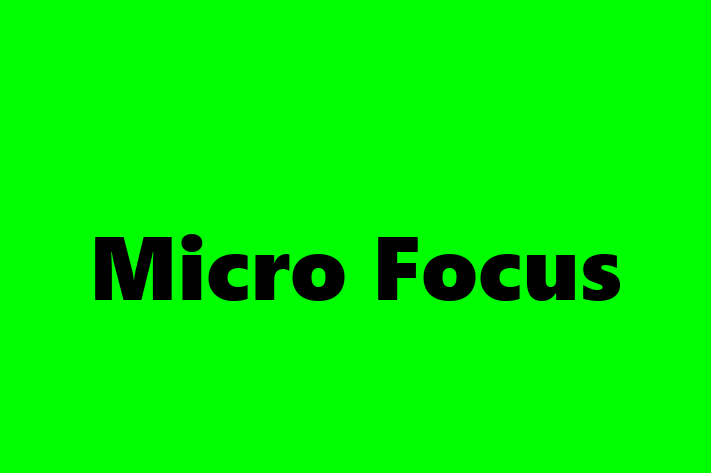 Software Services Company Micro Focus