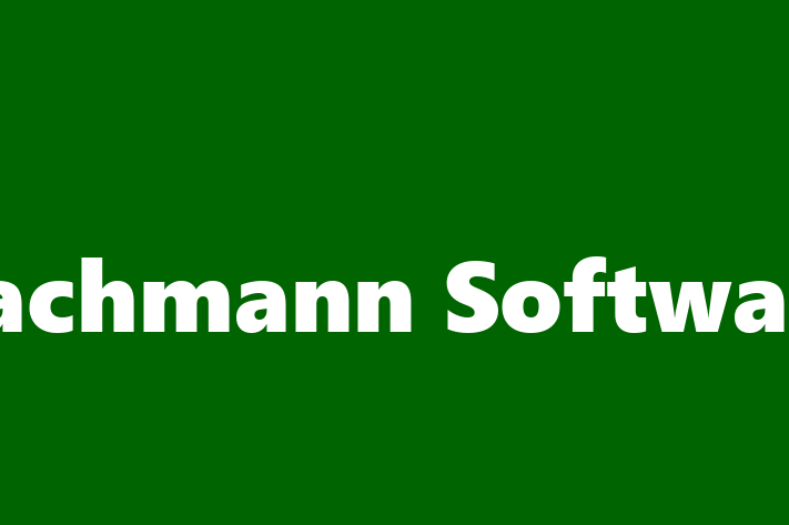 Software Development Company Bachmann Software