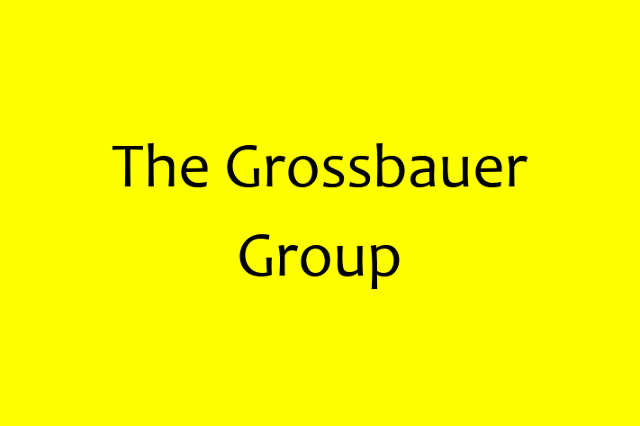 Software Solutions Provider The Grossbauer Group