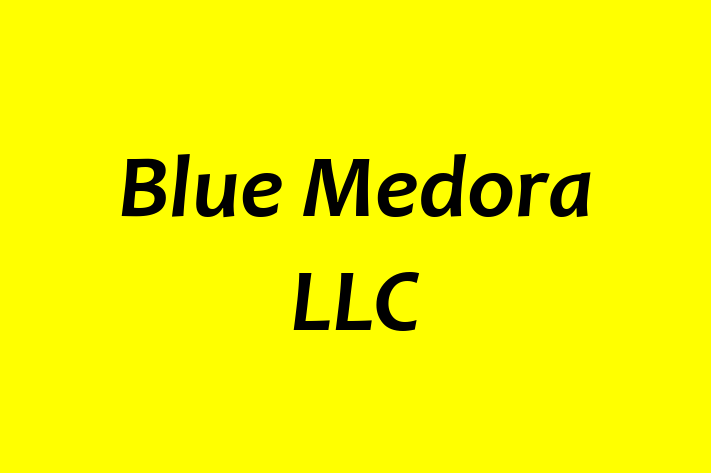 Technology Company Blue Medora LLC