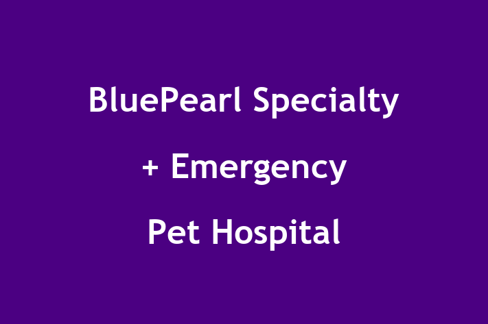 Labor Relations BluePearl Specialty + Emergency Pet Hospital