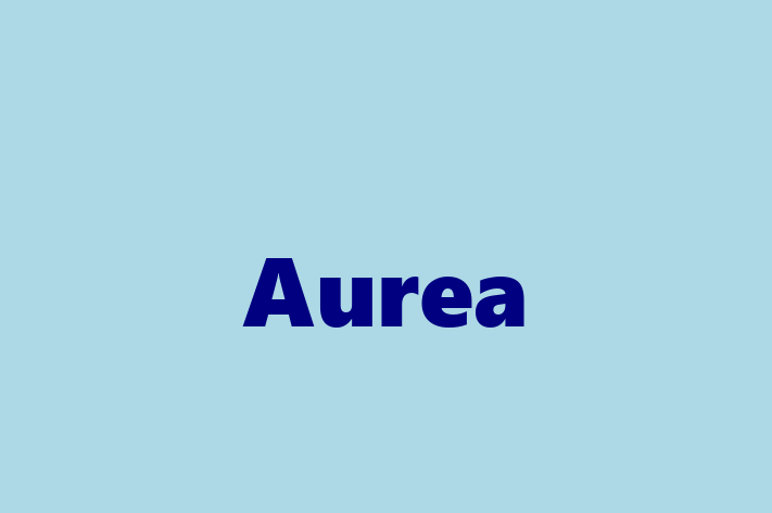 Technology Solutions Firm Aurea