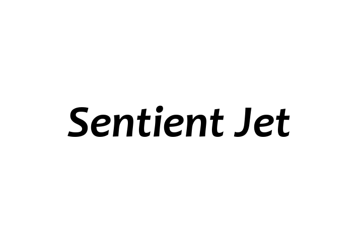 Staff Management Sentient Jet