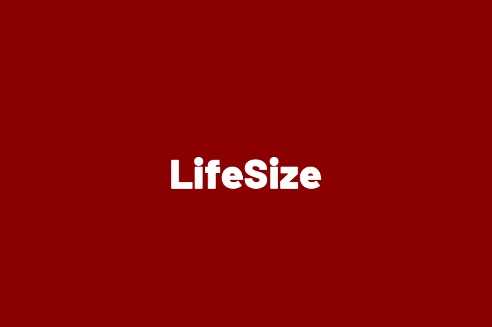 Software Development Firm LifeSize