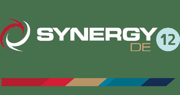 Software Consultancy Synergex International Corporation