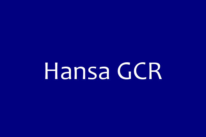 IT Company Hansa GCR