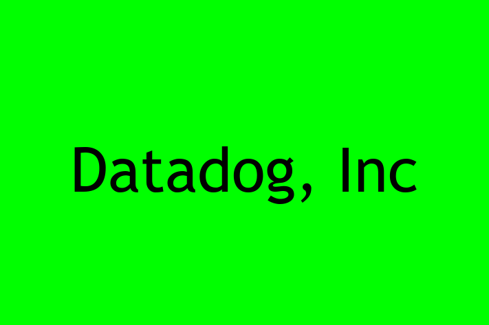 Tech Solutions Company Datadog Inc