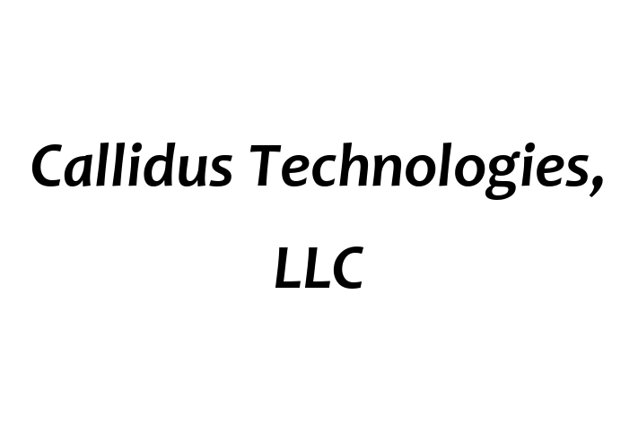 Software Engineering Company Callidus Technologies LLC