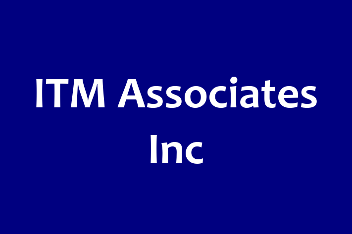 Software Services Company ITM Associates Inc