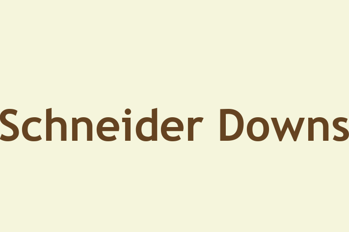 HR Administration Schneider Downs