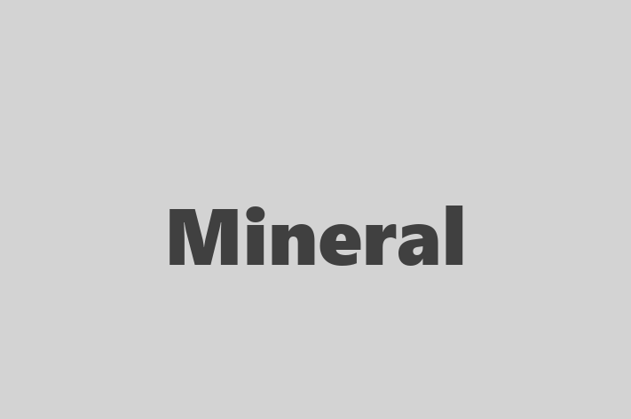 Workforce Management Mineral