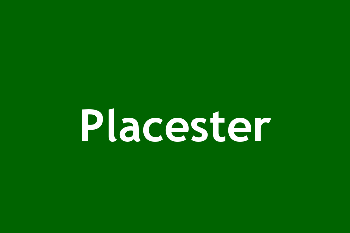 Software Engineering Company Placester