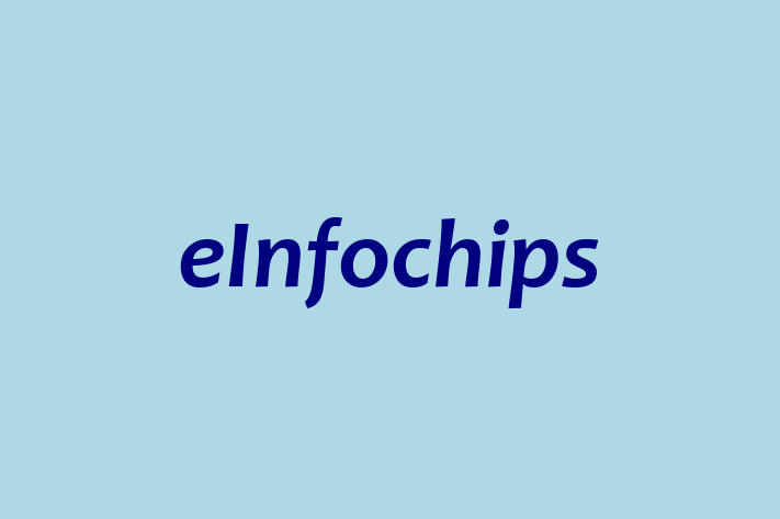 Software Engineering Company eInfochips