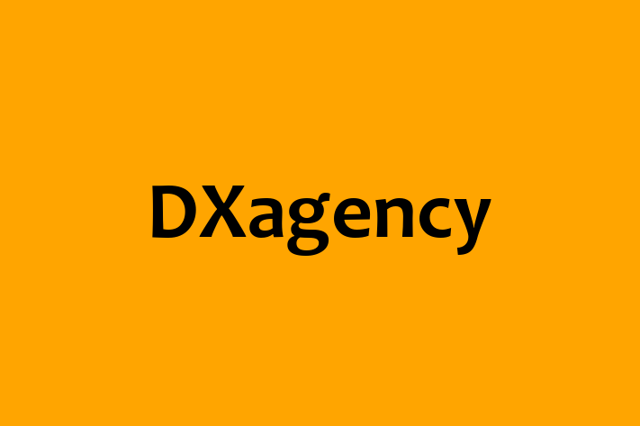 IT Company DXagency