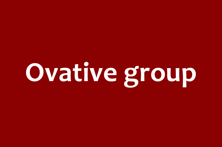 Software Consultancy Ovative group