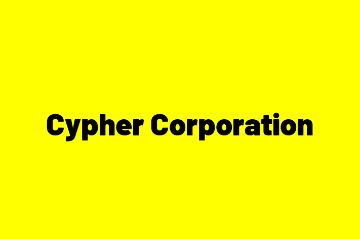 Technology Solutions Firm Cypher Corporation