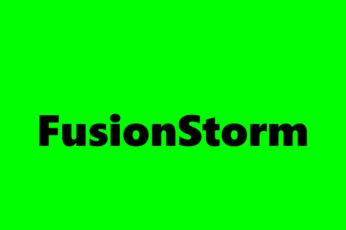 Application Development Company FusionStorm