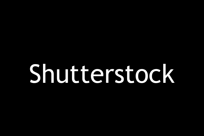 Tech Firm Shutterstock