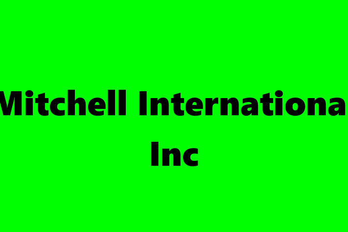 Technology Solutions Firm Mitchell International Inc