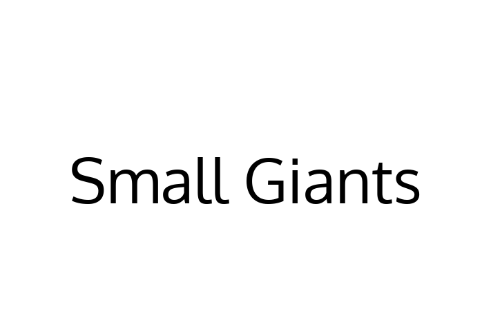 Software Firm Small Giants