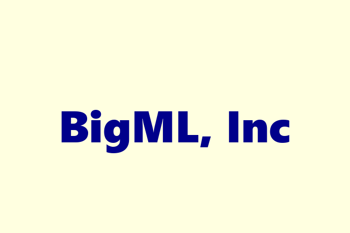 Software Firm BigML Inc