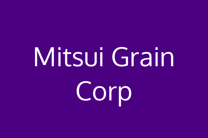 Software Engineering Company Mitsui Grain Corp