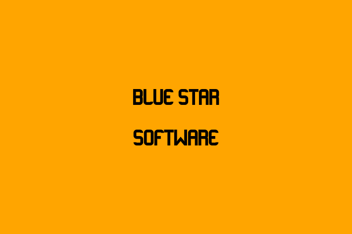 IT Company Blue Star Software