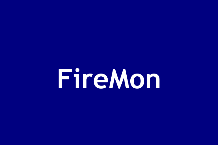 Digital Solutions Provider FireMon