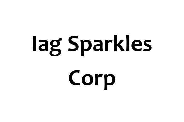 Sanitizing Services Iag Sparkles Corp