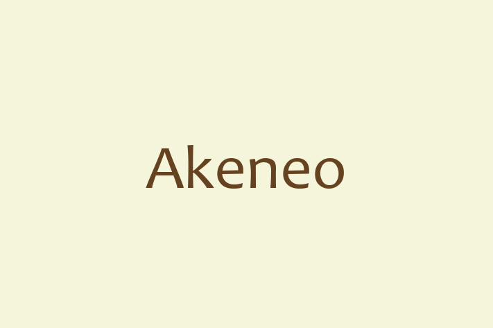 Software Development Company Akeneo