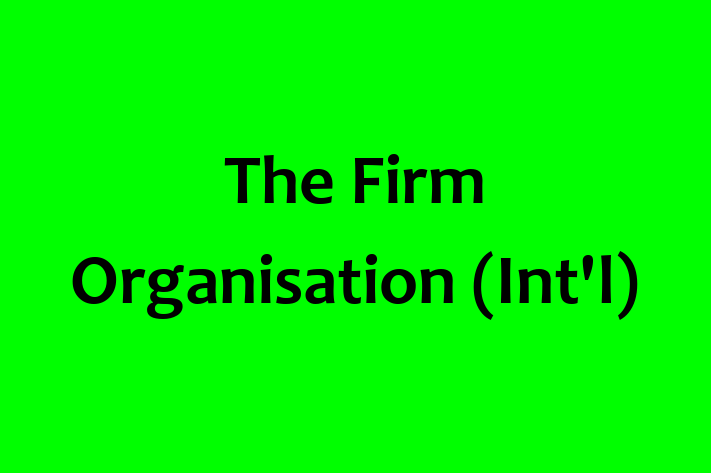 Digital Solutions Provider The Firm Organisation Intl