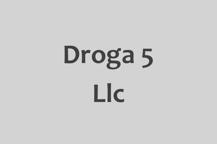 Software Development Company Droga 5 Llc