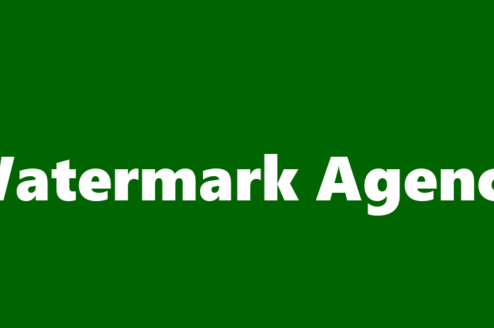 Technology Company Watermark Agency